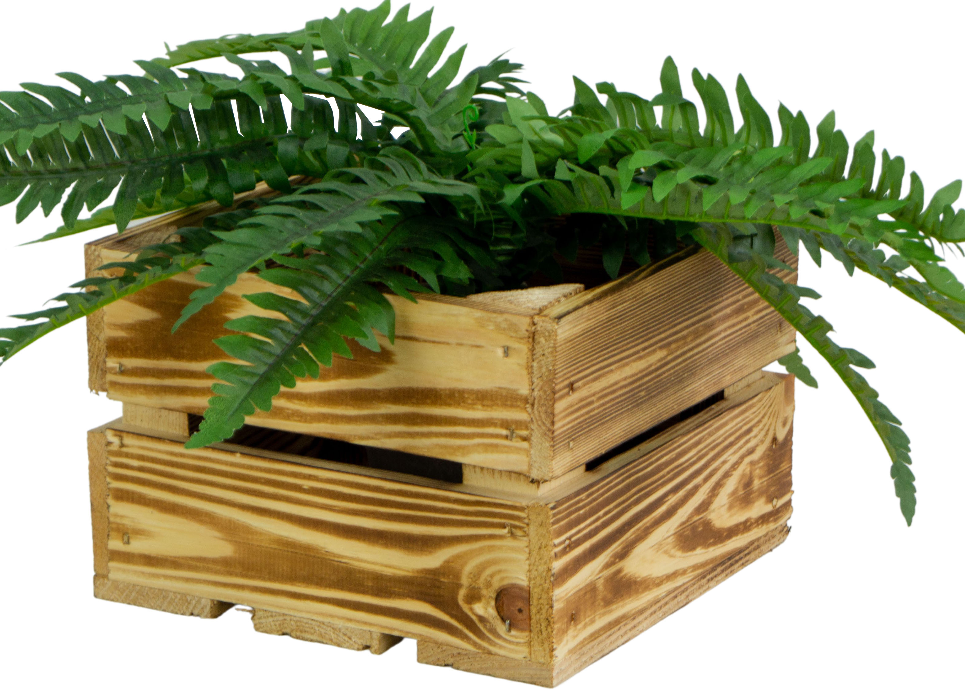 Kleine Holzkiste "Lotta" geflammt Kleine Holzkiste "Lotta" geflammt