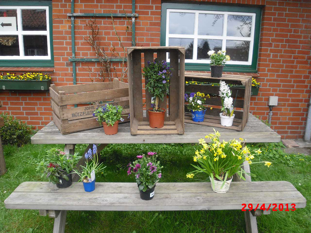 *B-Ware* Große 25kg Kiste mit Längsbodenbrettern 60x38x32cm *B-Ware* Große 25kg Kiste mit Längsbodenbrettern 60x38x32cm