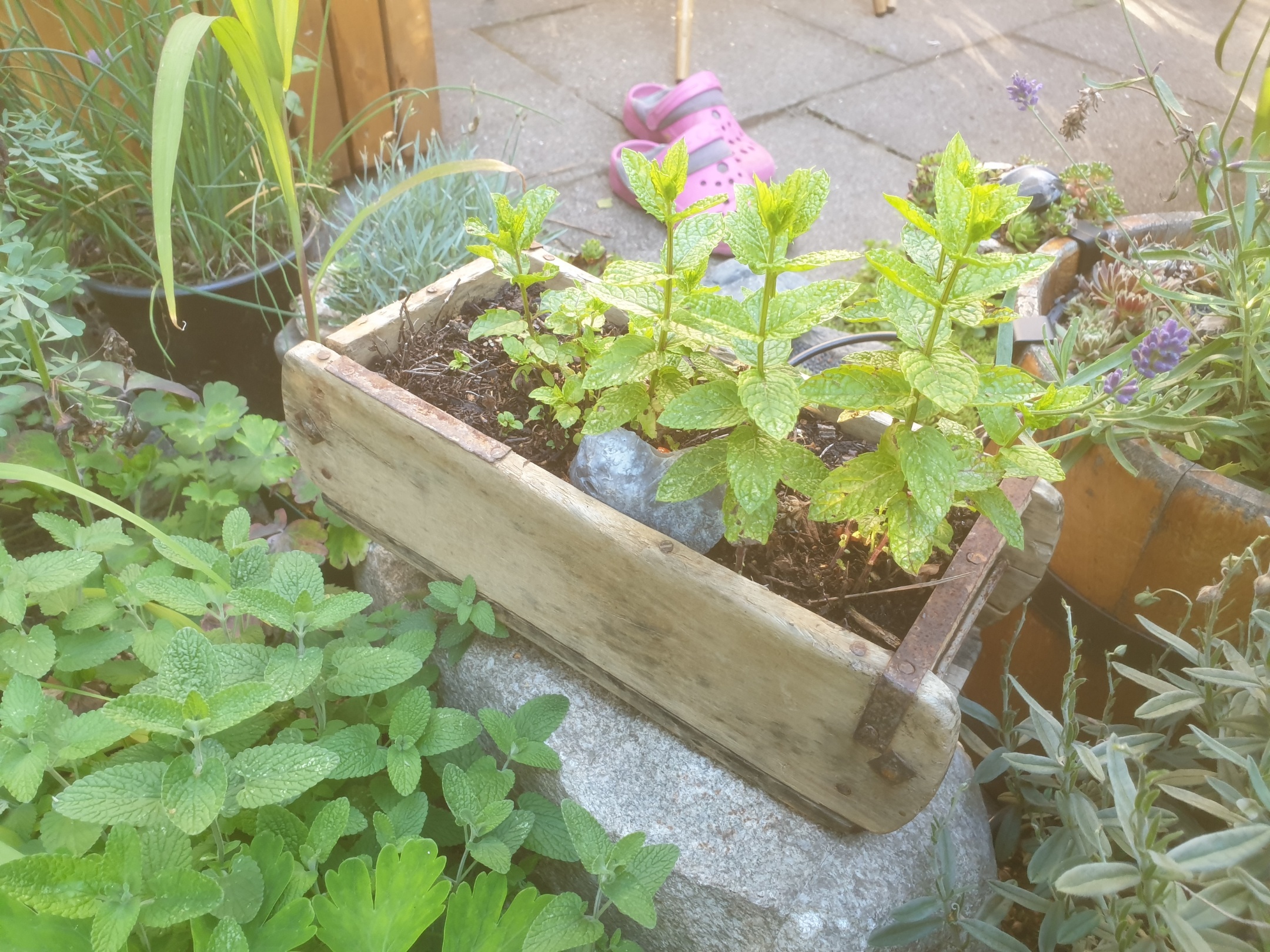 Original indische Ziegelform 31 x 9,5 x 15cm Original indische Ziegelform 31 x 9,5 x 15cm