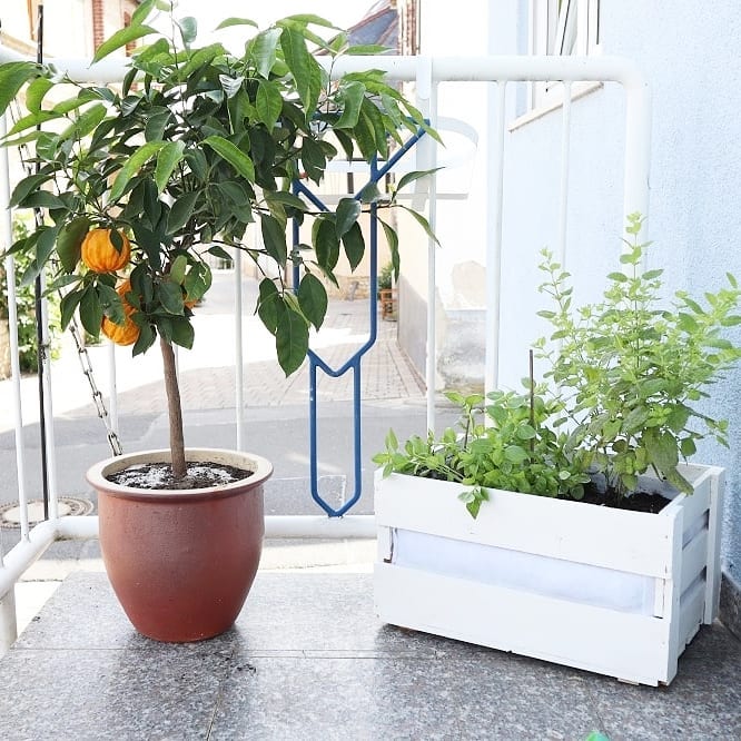 Neue weiße Weinkiste 46x30,5x24cm