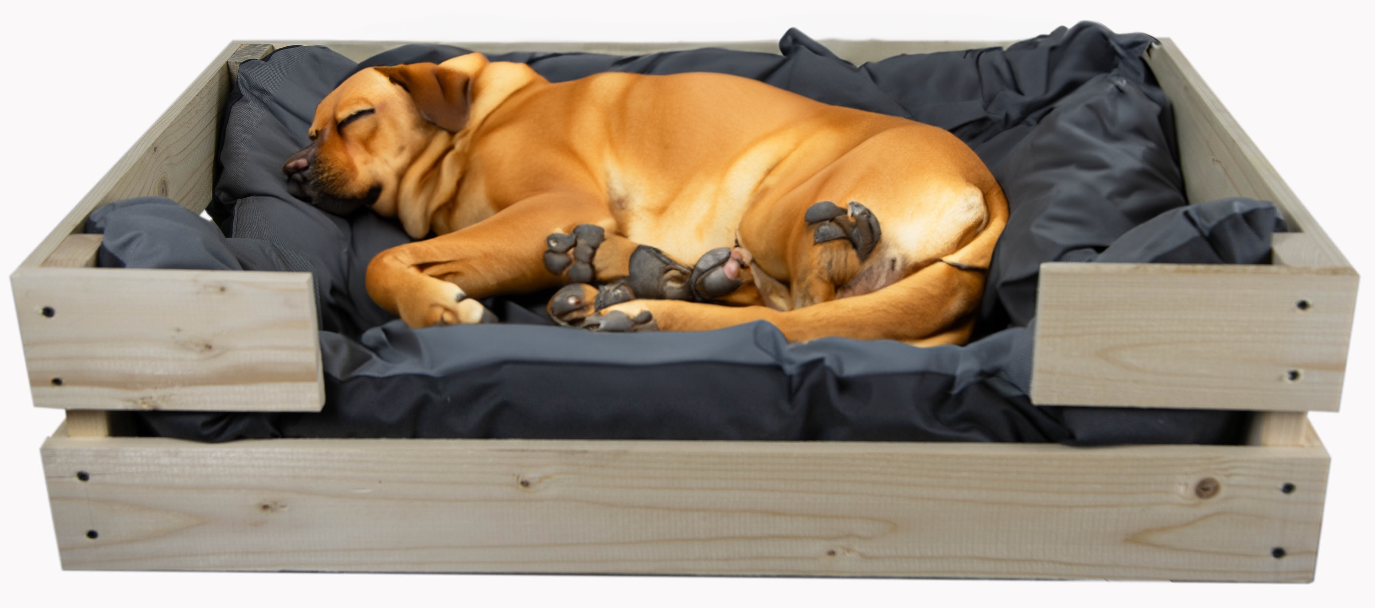 Hundebett Rocky Natur mit Kissen grau 80x50x21cm Hundebett Rocky Natur mit Kissen grau 80x50x21cm