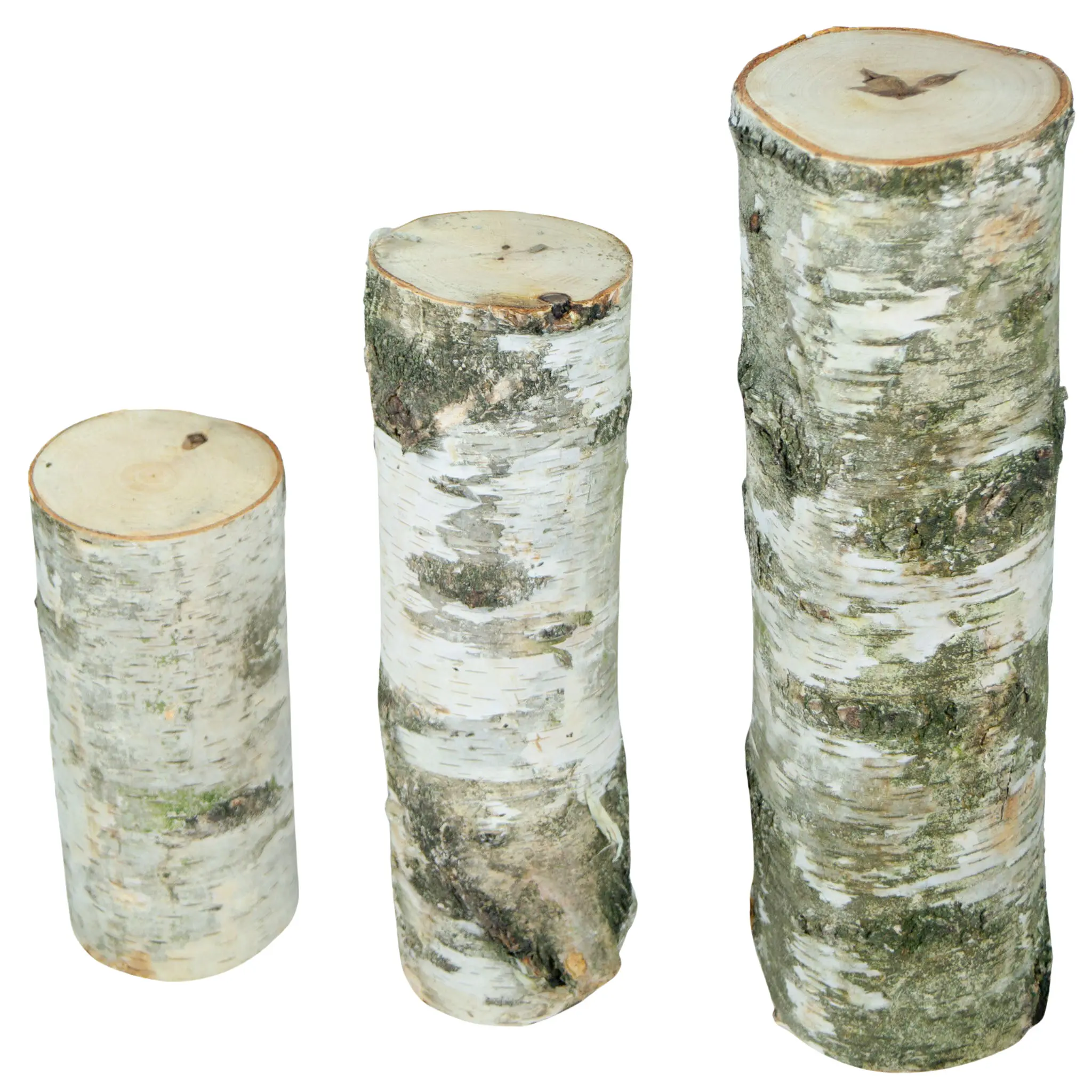 3er Set Birkenstämme Deko 3er Set Birkenstämme Deko