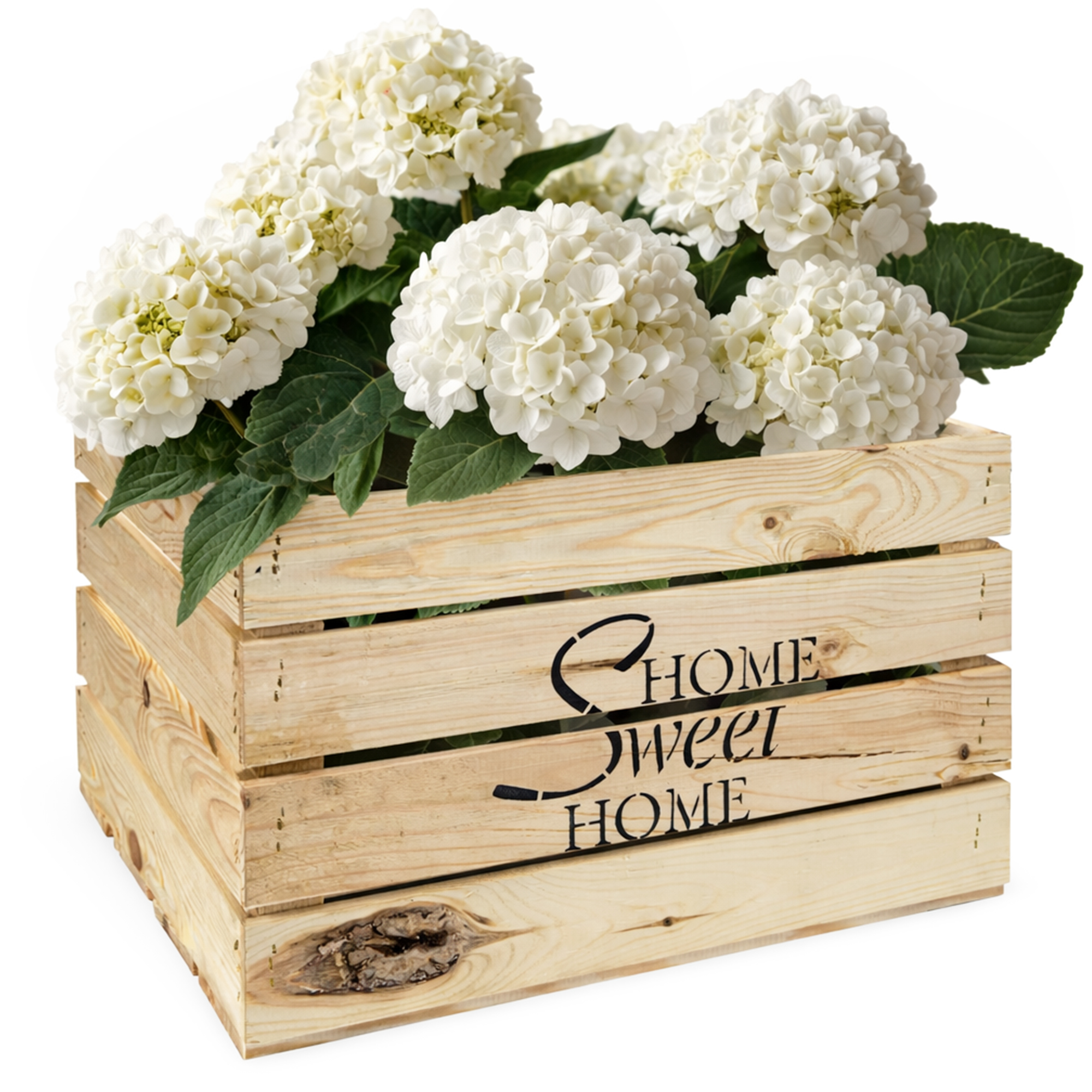 Obstkiste Home Sweet Home