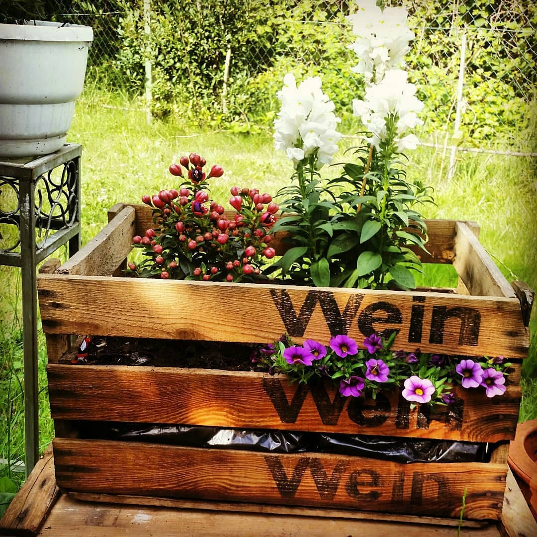 Dunkle Badische Weinkiste "Wein Wein Wein" 50x35x28 cm alte Weinkiste WEIN WEIN WEIN 2te Wahl