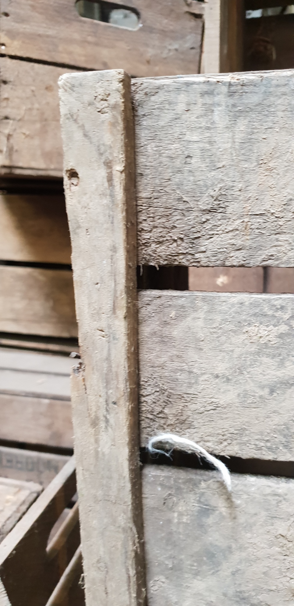 Obstkisten "Elfriede" B Ware