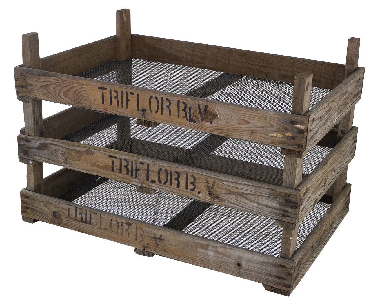 Tulpen Zwiebelsieb 75x51x9cm B-Ware Tulpen Zwiebelsieb 75x51x9cm