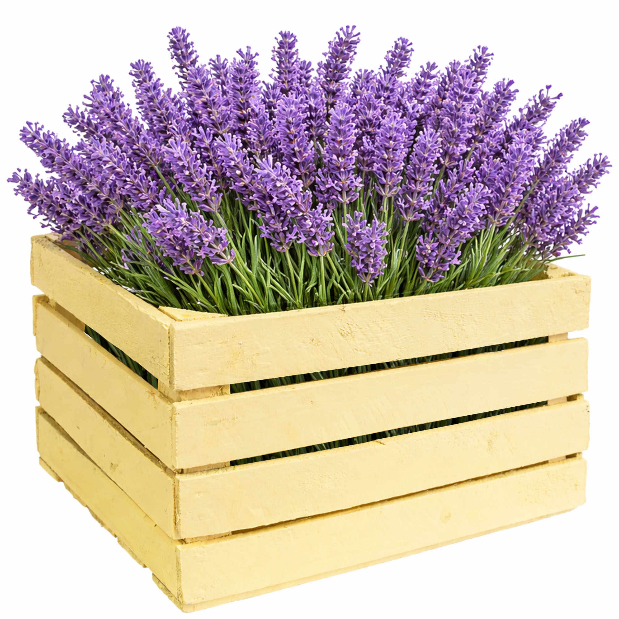 Obstkiste "Johanna" - gebraucht- Pastellgelb