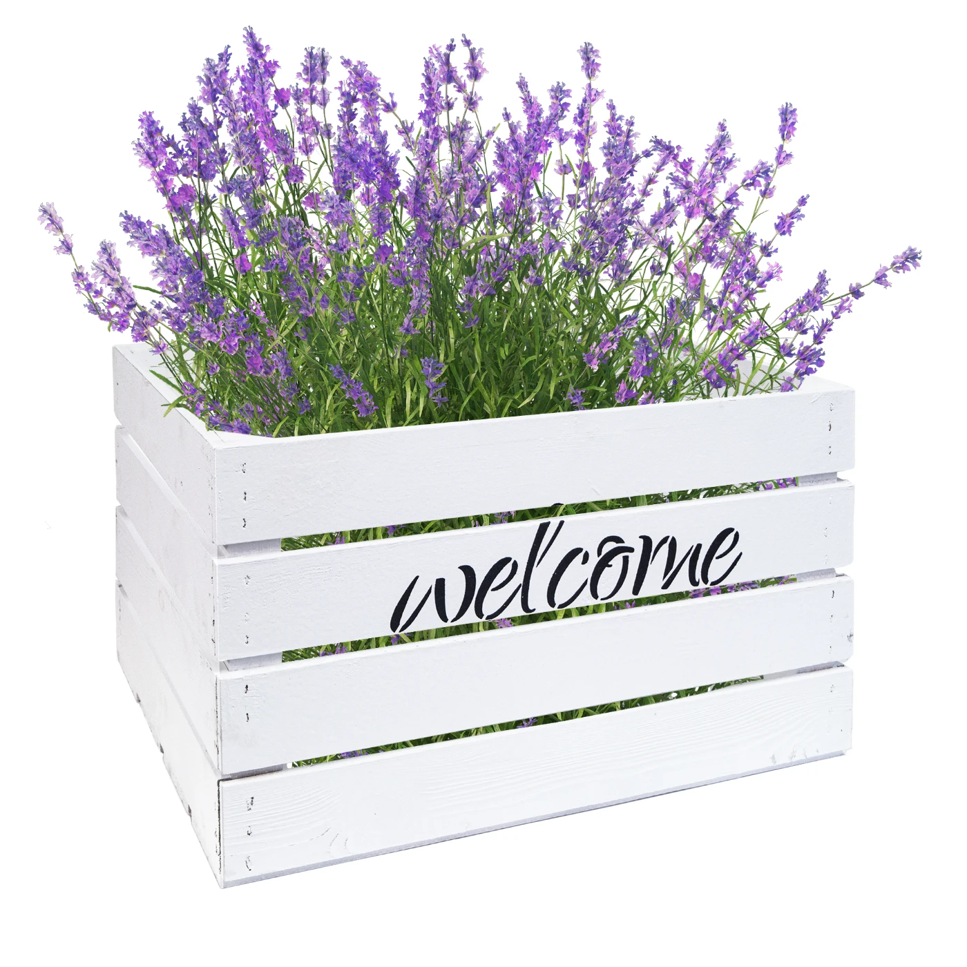 Obstkiste Welcome Welcome Weiss Obstkiste Welcome Welcome Weiss