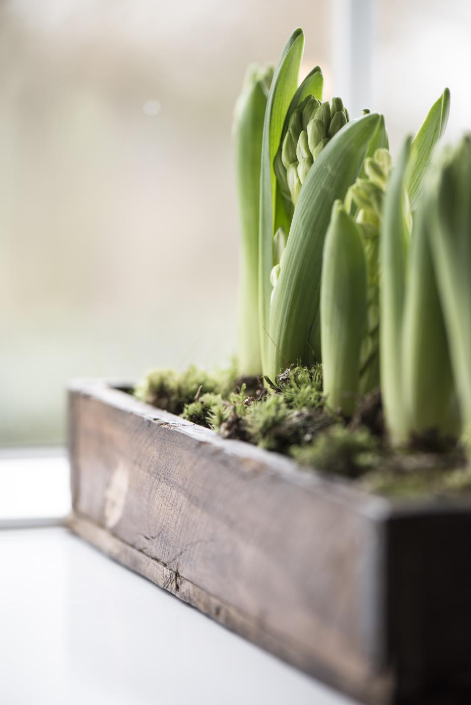 Schmale rustikale Altholz-Kiste mit Metallbeschlag