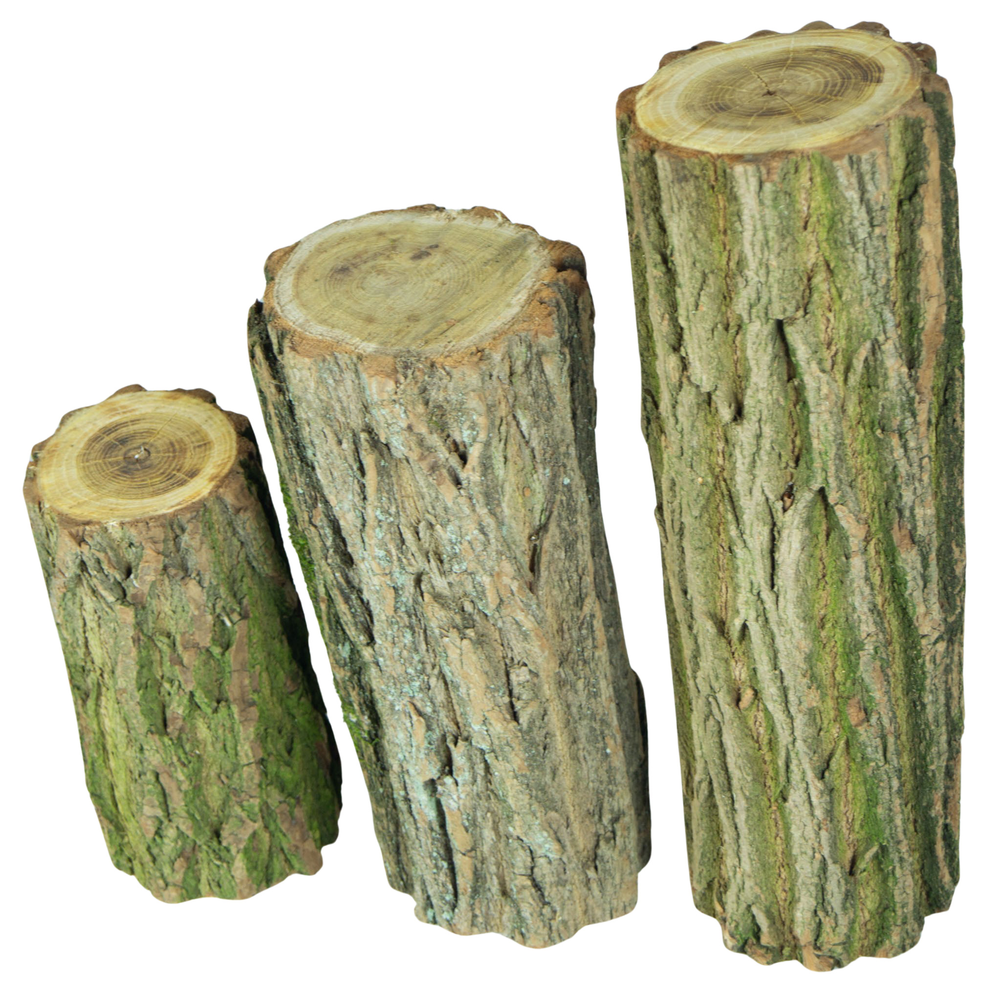 3er Set Eichenstämme Deko 3er Set Eichenstämme Deko