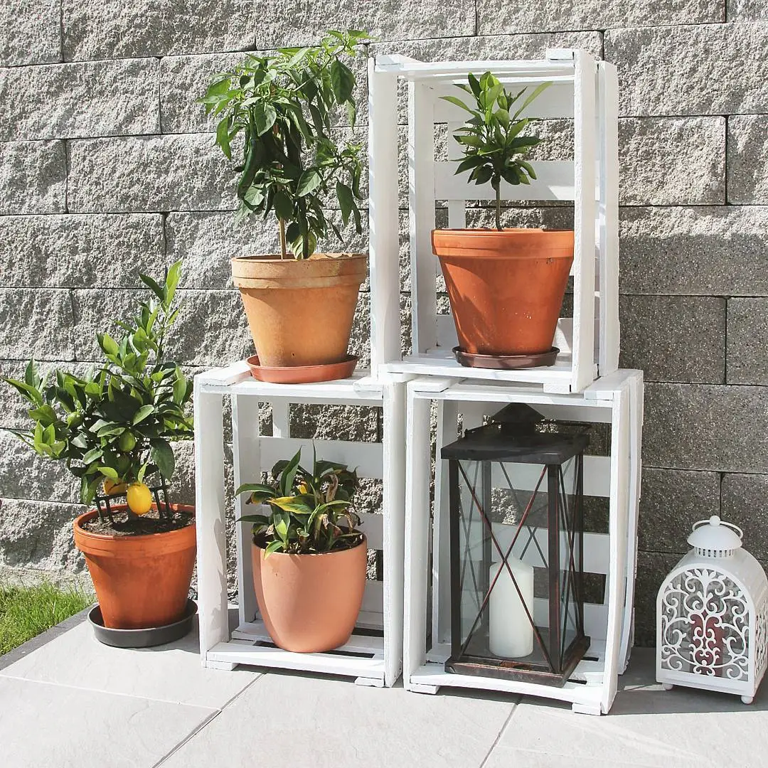 Neue weiße Weinkiste 46x30,5x24cm