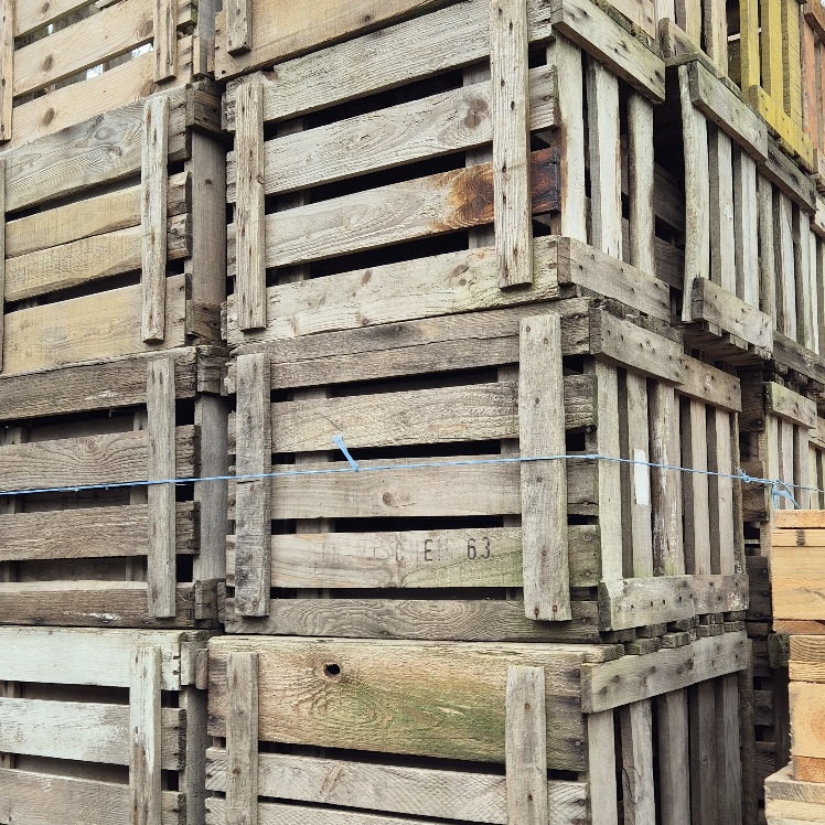 alte Weinkiste WEIN WEIN WEIN 2te Wahl alte Weinkiste WEIN WEIN WEIN 2te Wahl