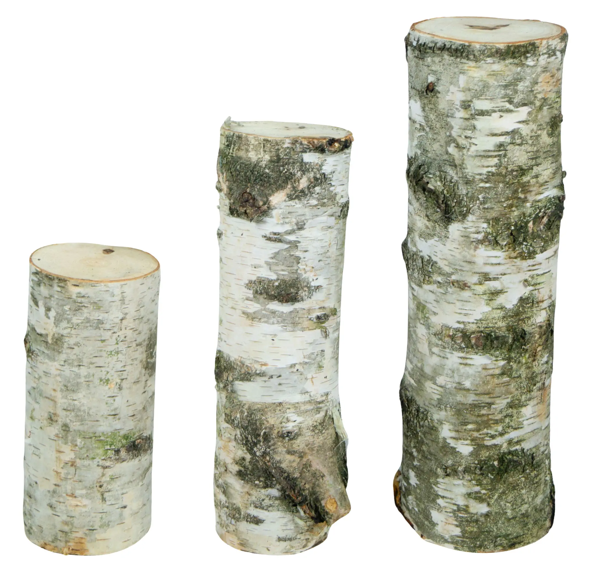 3er Set Birkenstämme Deko 3er Set Birkenstämme Deko