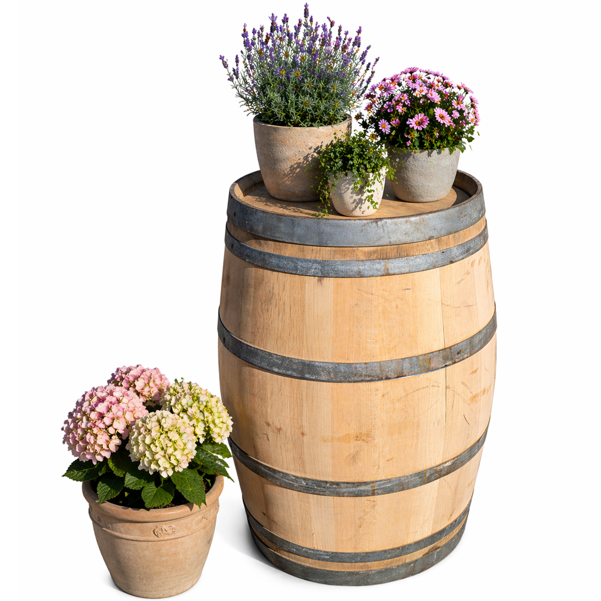 Gebrauchtes Weinfass geschliffen 225L kaufen – Eichenfass für Garten, Deko & Möbelbau 