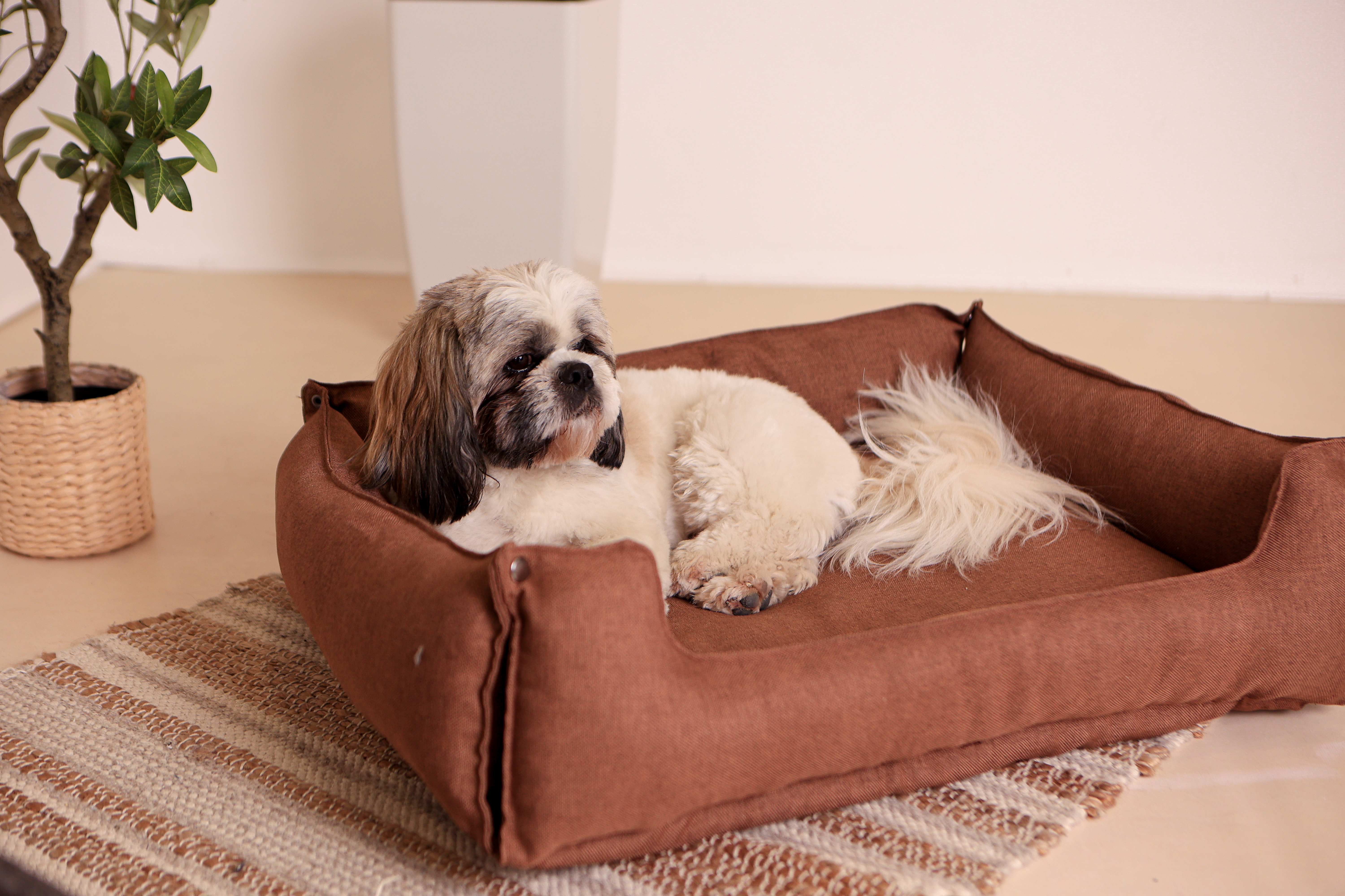 Hundebett & Hundekissen Lotti Hundebett & Hundekissen Lotti