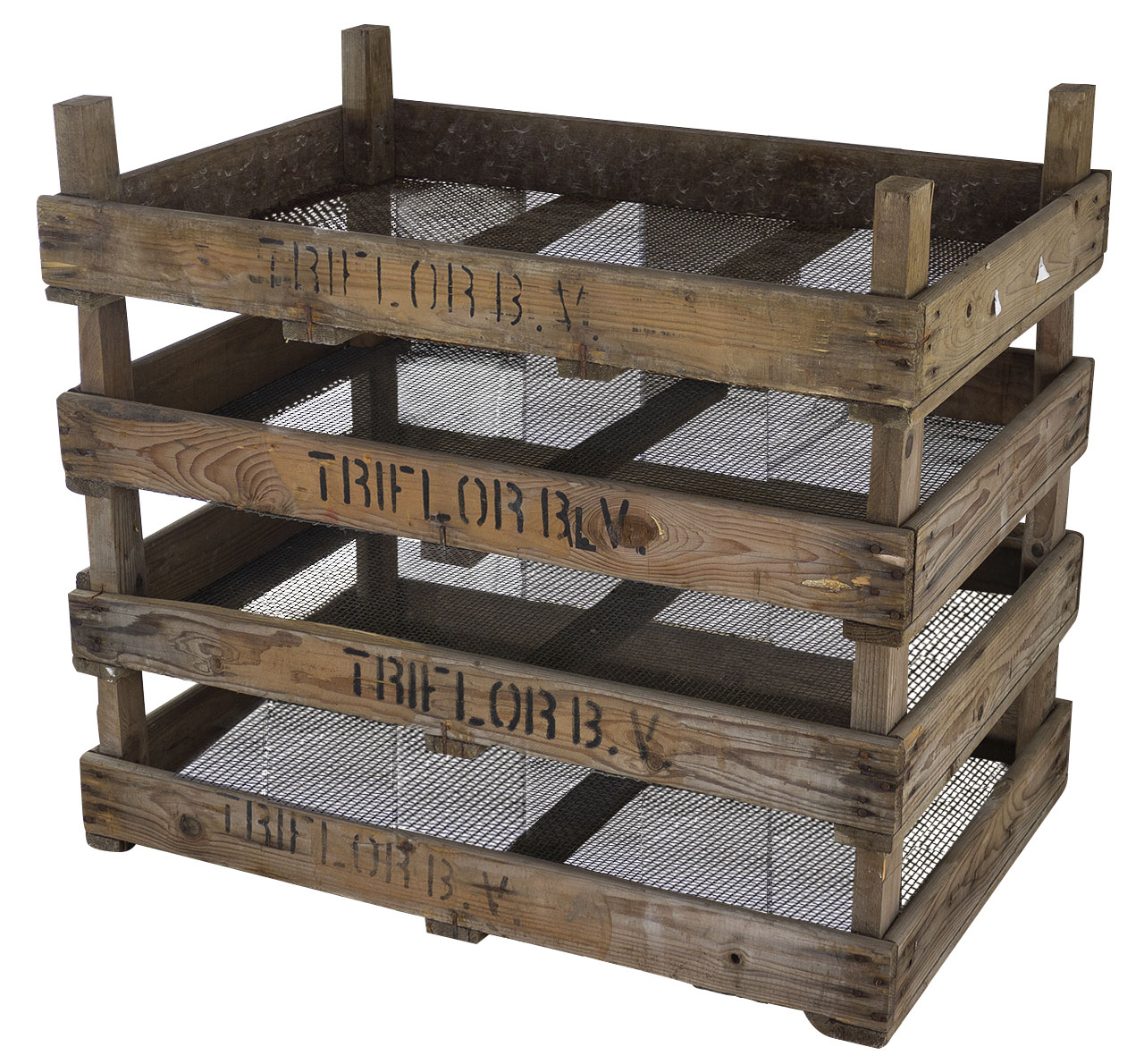 Tulpen Zwiebelsieb 75x51x9cm B-Ware Tulpen Zwiebelsieb 75x51x9cm